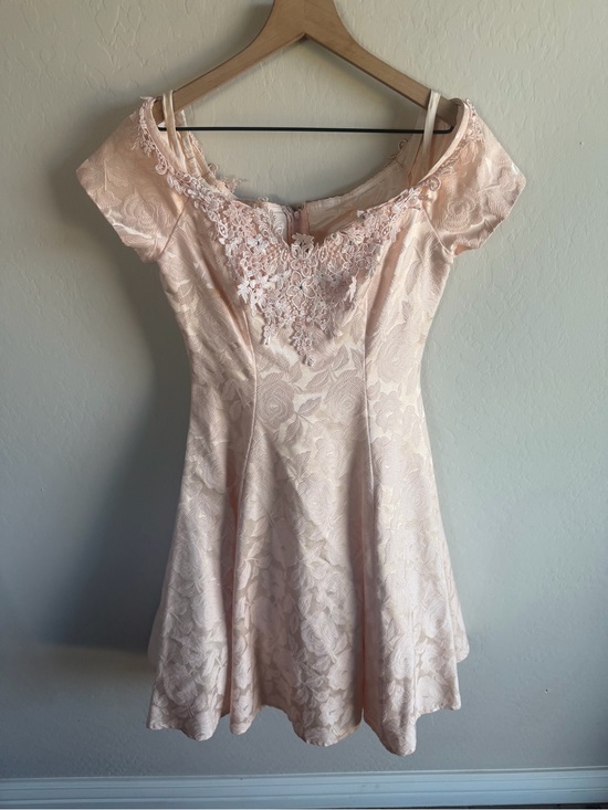 Vintage Dresses & Skirts - Vintage Niki Blush Pink Lace Fit-and-Flare Dress Size 6 Coquette USA Old Money